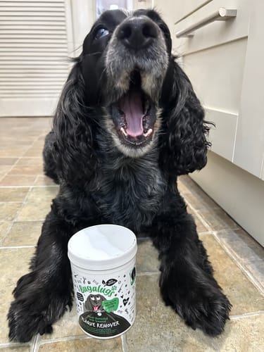Customer photo review of Hand-harvested Irish Seaweed Plaque Remover for Dogs & Cats (200g)