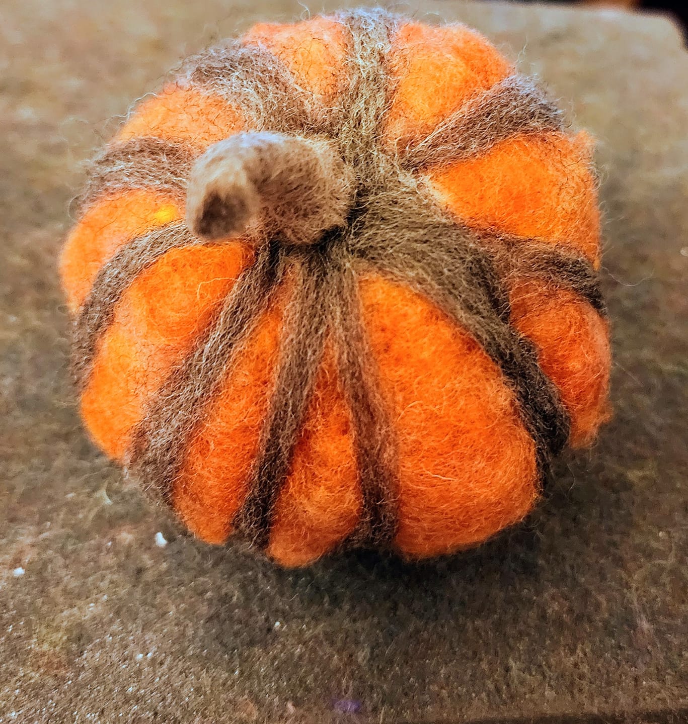 Customer photo review of Pumpkin Stem