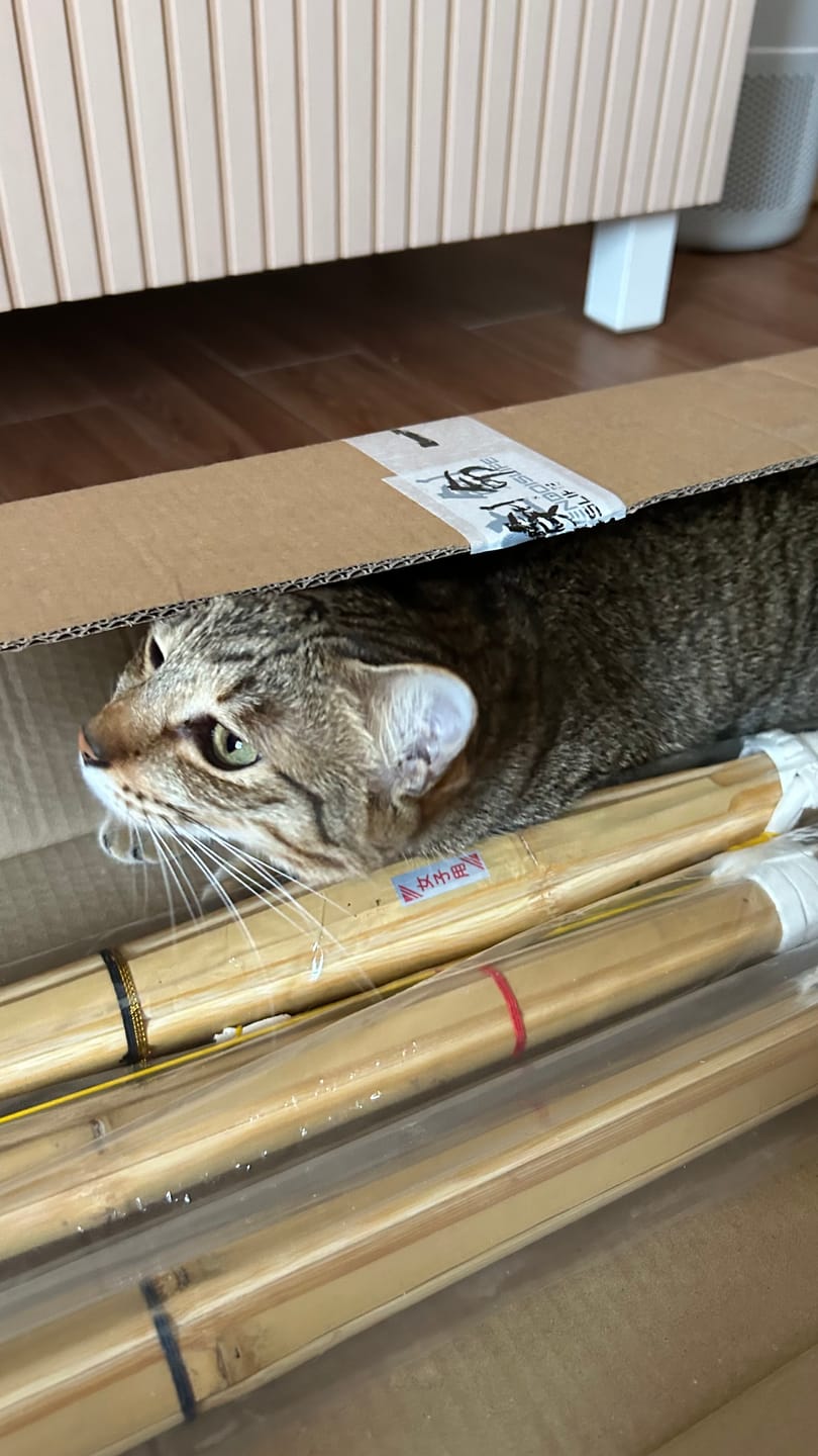 Customer photo review of Mixed Shinai Set - Set of 3