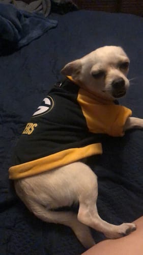 Customer photo review of Sudadera de Los Packers NFL para Perro