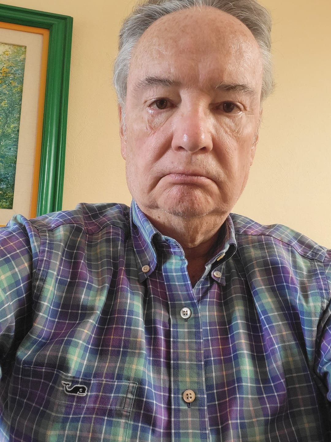 Customer photo review of Camisa Vineyard Vines Talla M