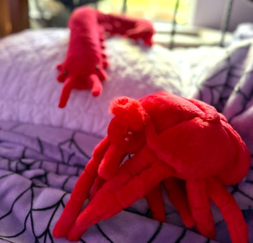 Customer photo review of Red Velvet Mite Soft Stuffed Plush Toy - Cute and Lifelike