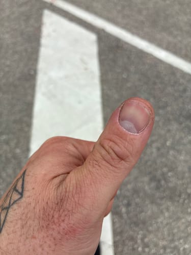 Customer photo review of JNR - Mega Shisha Hookah - 100000 Bouffées - 2% de nicotine - Tete de Chicha Electronique