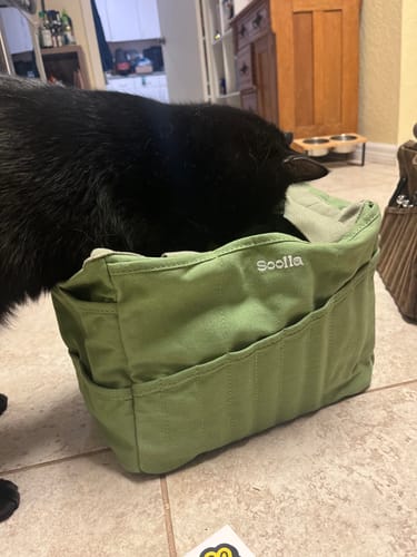 Customer photo review of Soolla® Studio Bag, Ganja Green