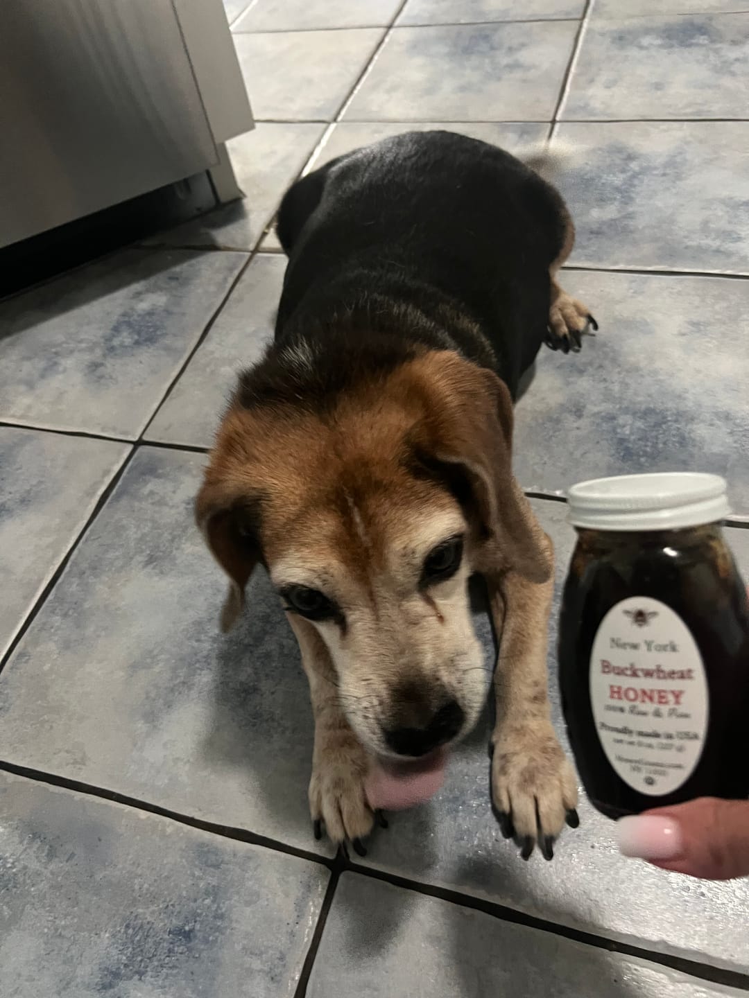 Customer photo review of Buckwheat Honey