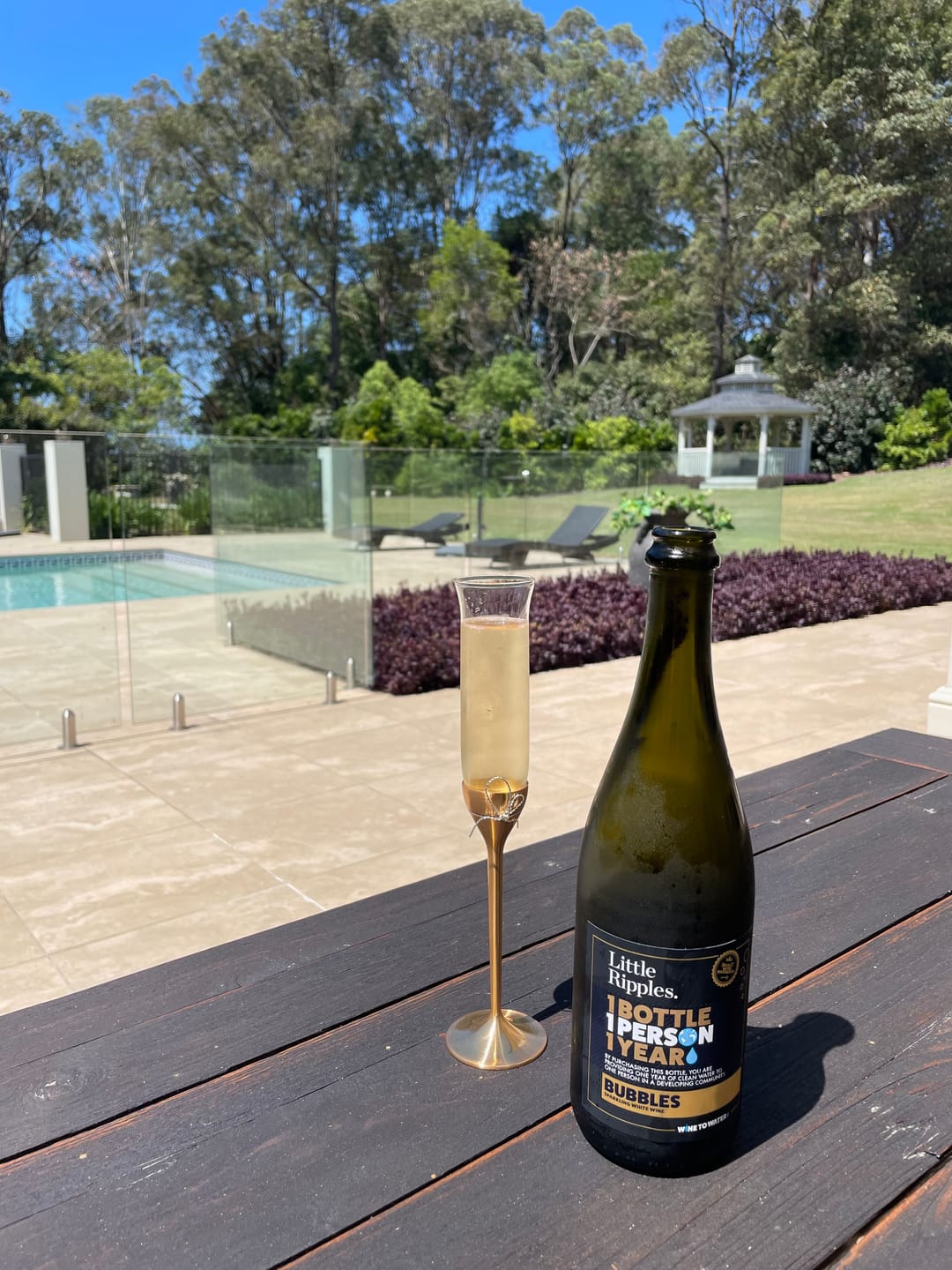 Customer photo review of Sparkling - 6pk
