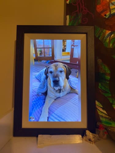Customer photo review of Digital Photo Frame