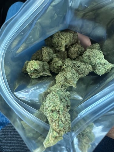 Customer photo review of Acapulco Gold THCA Flower