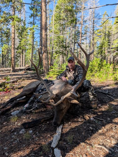 Customer photo review of Titanium Broadheads