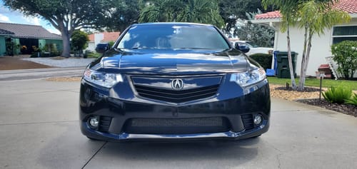 Customer photo review of For 2011-2014 Acura TSX Front Bumper Upper Grille Assembly (Gloss Black or Painted Matte Black)
