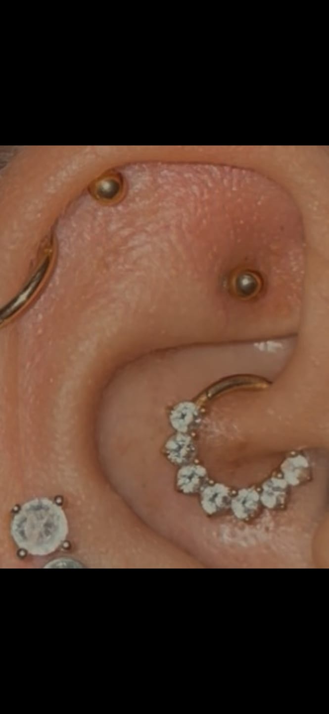 Customer photo review of Ornella Clicker Piercing | Titan