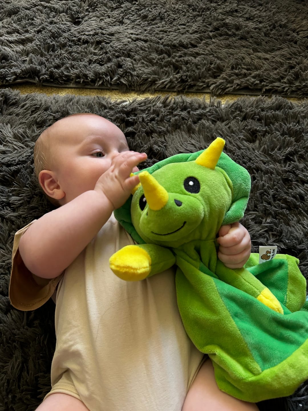 Customer photo review of Dash the Dinosaur
