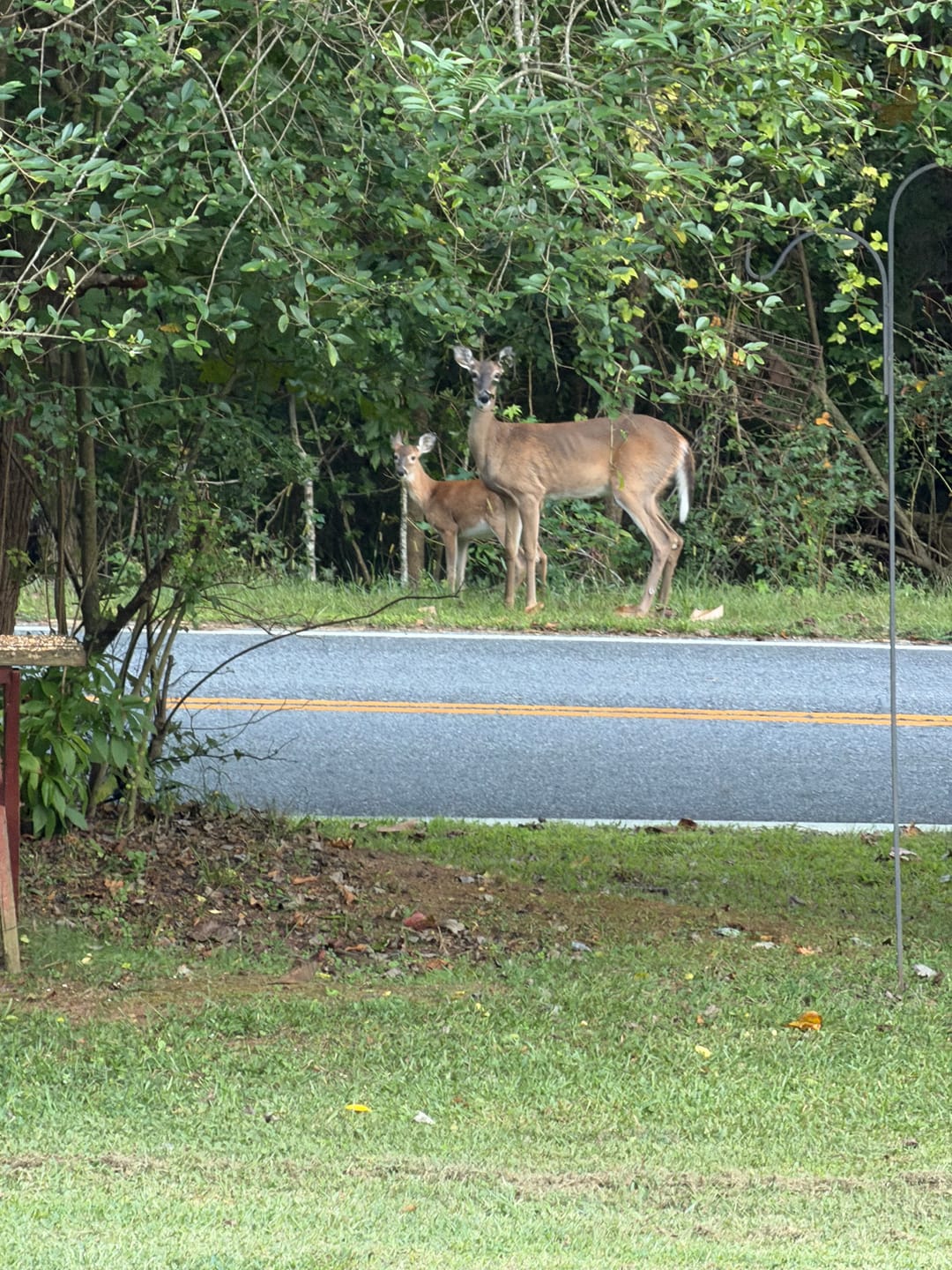 Customer photo review of VINTAGE DREAM LIGHTROOM PRESETS