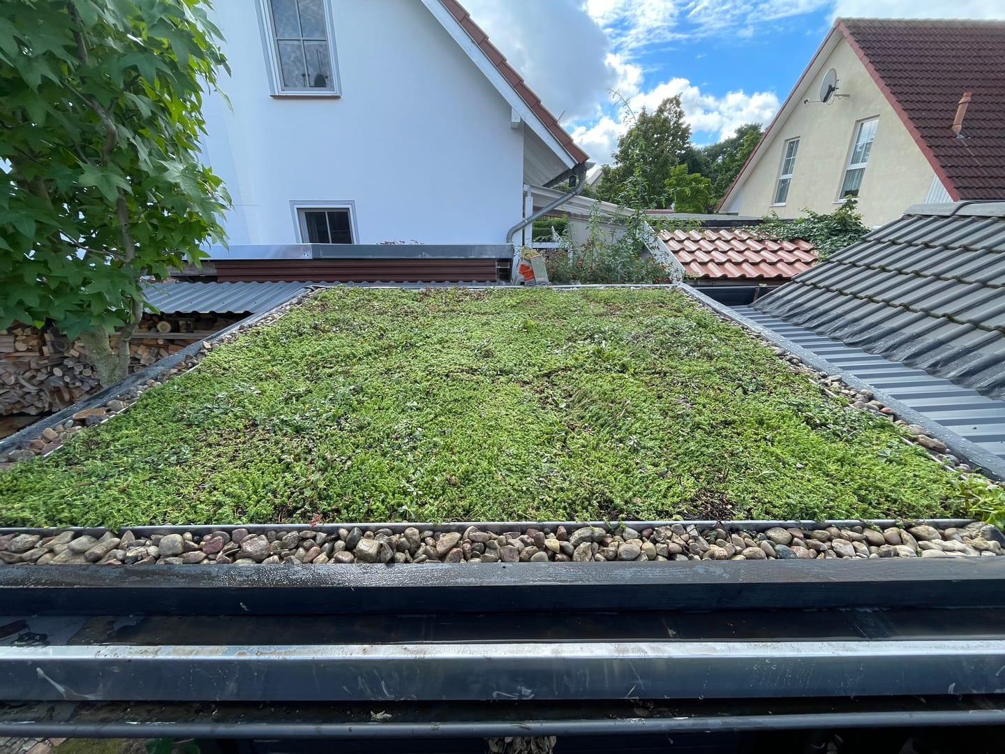 Customer photo review of Sedum-Mix Sedummatten