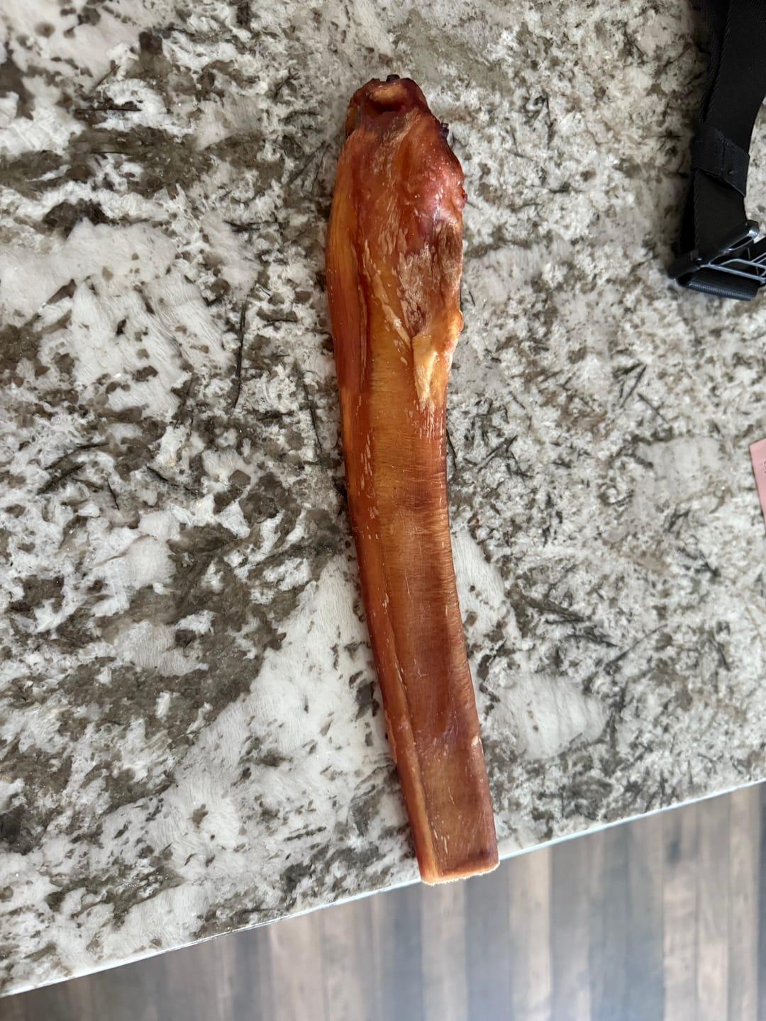 Customer photo review of 12 Inch Mega Monster Bully Stick (LIMITED)