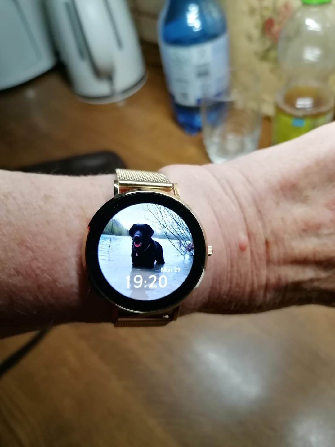 Customer photo review of Eleganza Mini