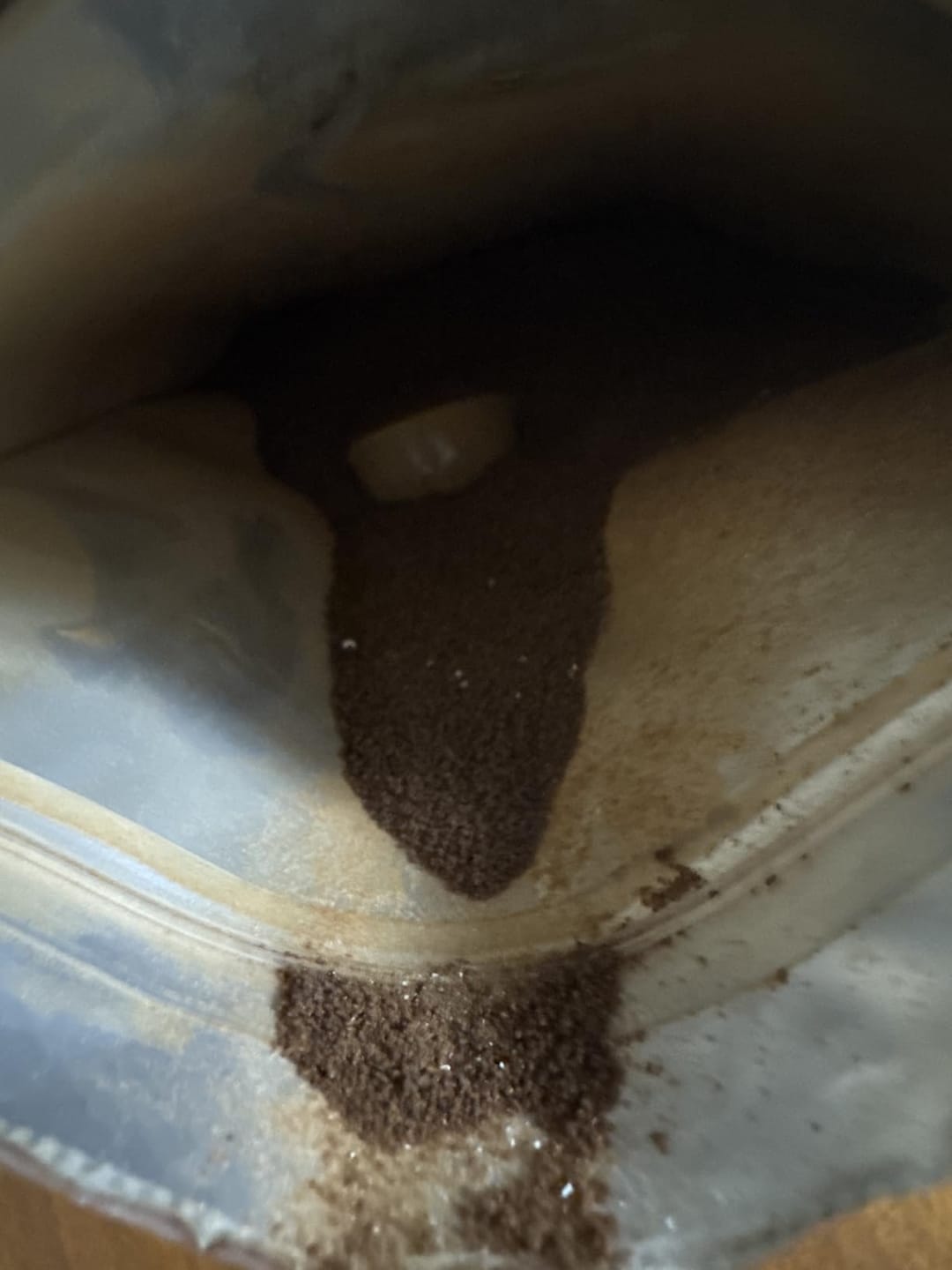 Customer photo review of 12 Mushrooms Focus Coffee - 40 Servings