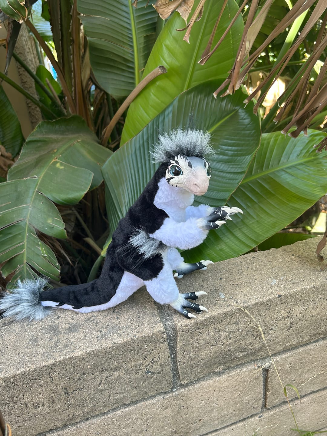 Customer photo review of Mercurian raptor - black and white