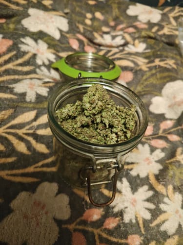 Customer photo review of Gold Spectrum THCA Flower - Top Quality Strain of the Month
