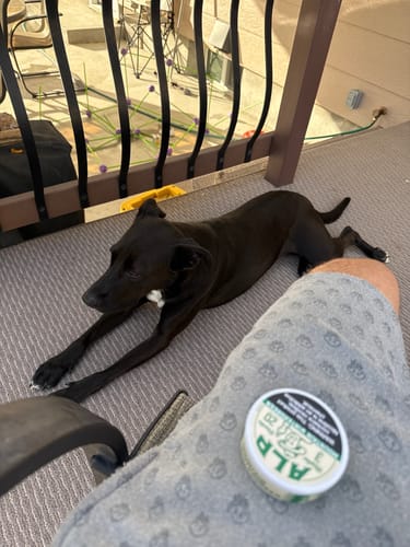 Customer photo review of Mountain Wintergreen Nicotine Pouches