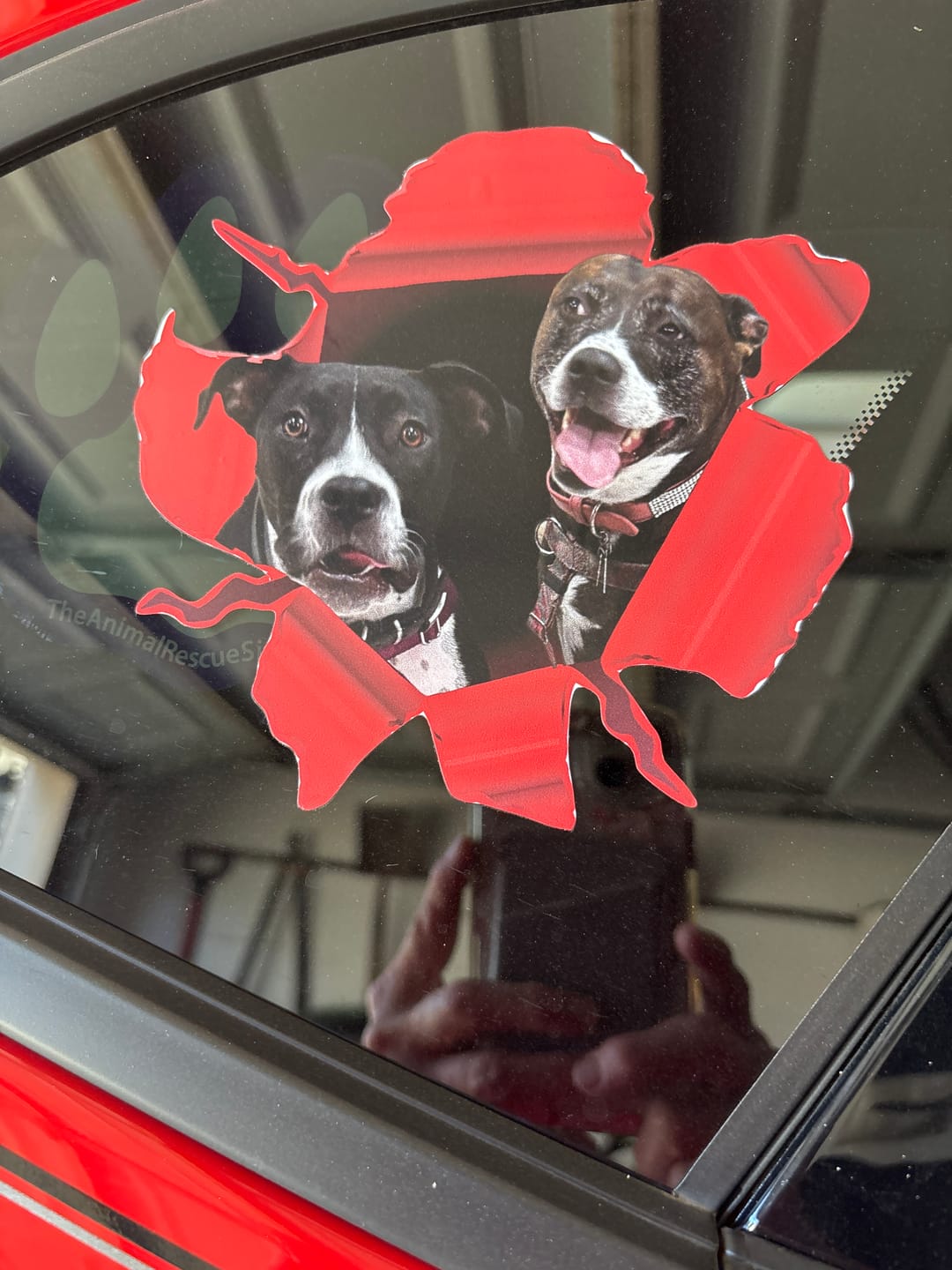 Customer photo review of Peeking photo – Personalized Car Sticker