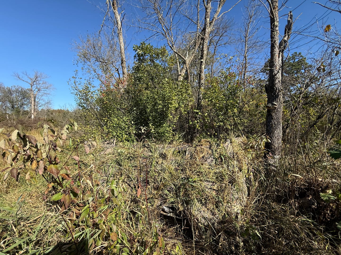 Customer photo review of TideWe Panel Ground Blind for Duck Hunting