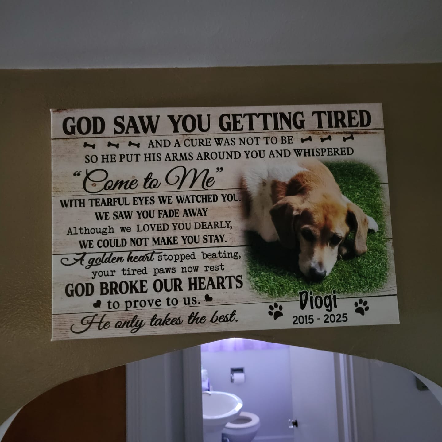 Customer photo review of Dog Memorial Personalized Canvas Prints - Custom Photo & Text - 5 Sizes - Dog Memorial Keepsake, God Saw You Getting Tired - Dem Canvas