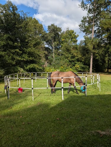 Customer photo review of BOGO Ready Made Portable Electric Horse Corral Fencing: (Electric EconoLine 8x2 = 16 Panels; 2 Rails)