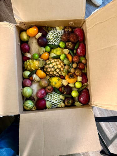 Customer photo review of Variety Box
