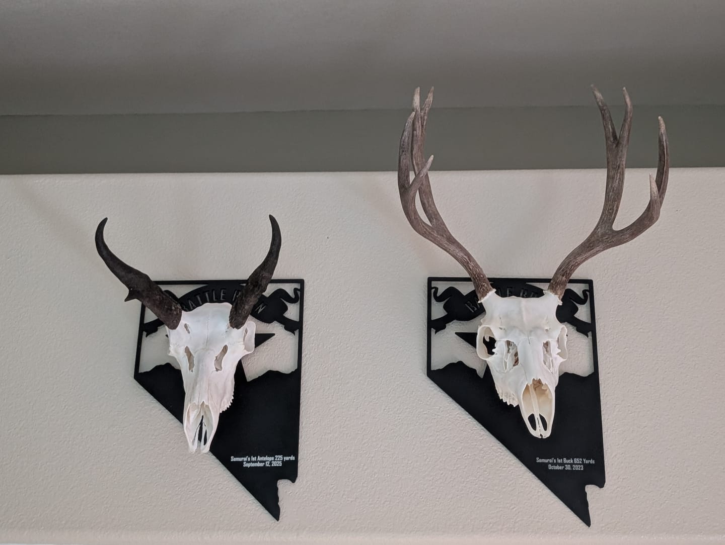 Customer photo review of Arrow/Bullet Clip