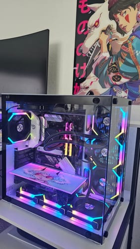 Customer photo review of Street Wolf Princess Plexi Glass Wall Art