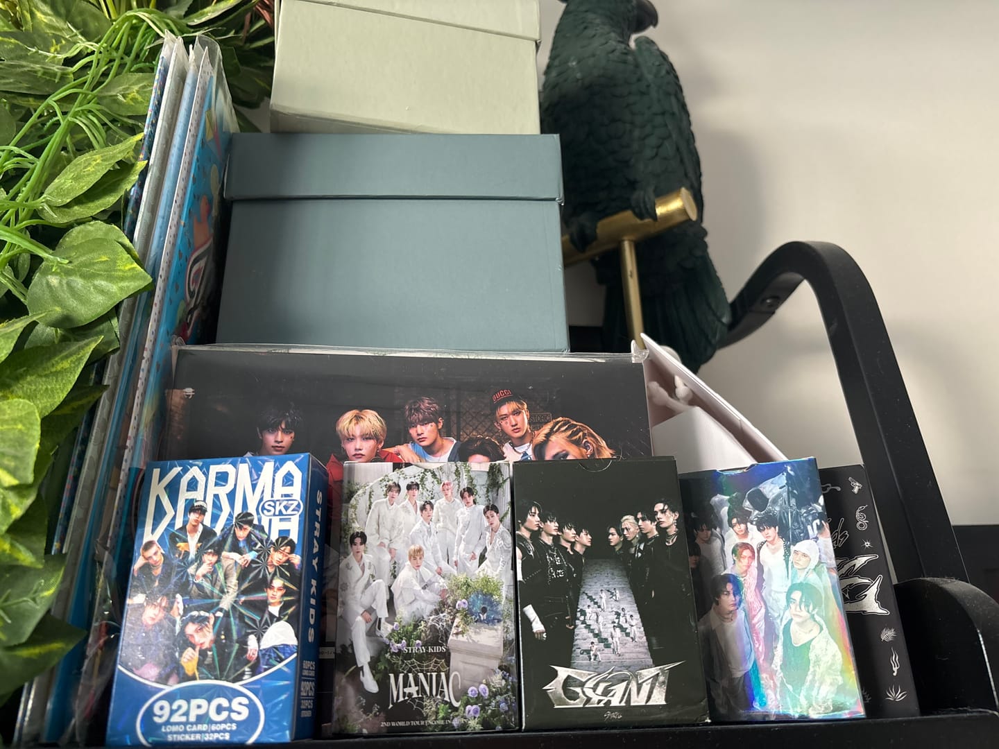 Customer photo review of SKZ Photocard KARMA Special Edition