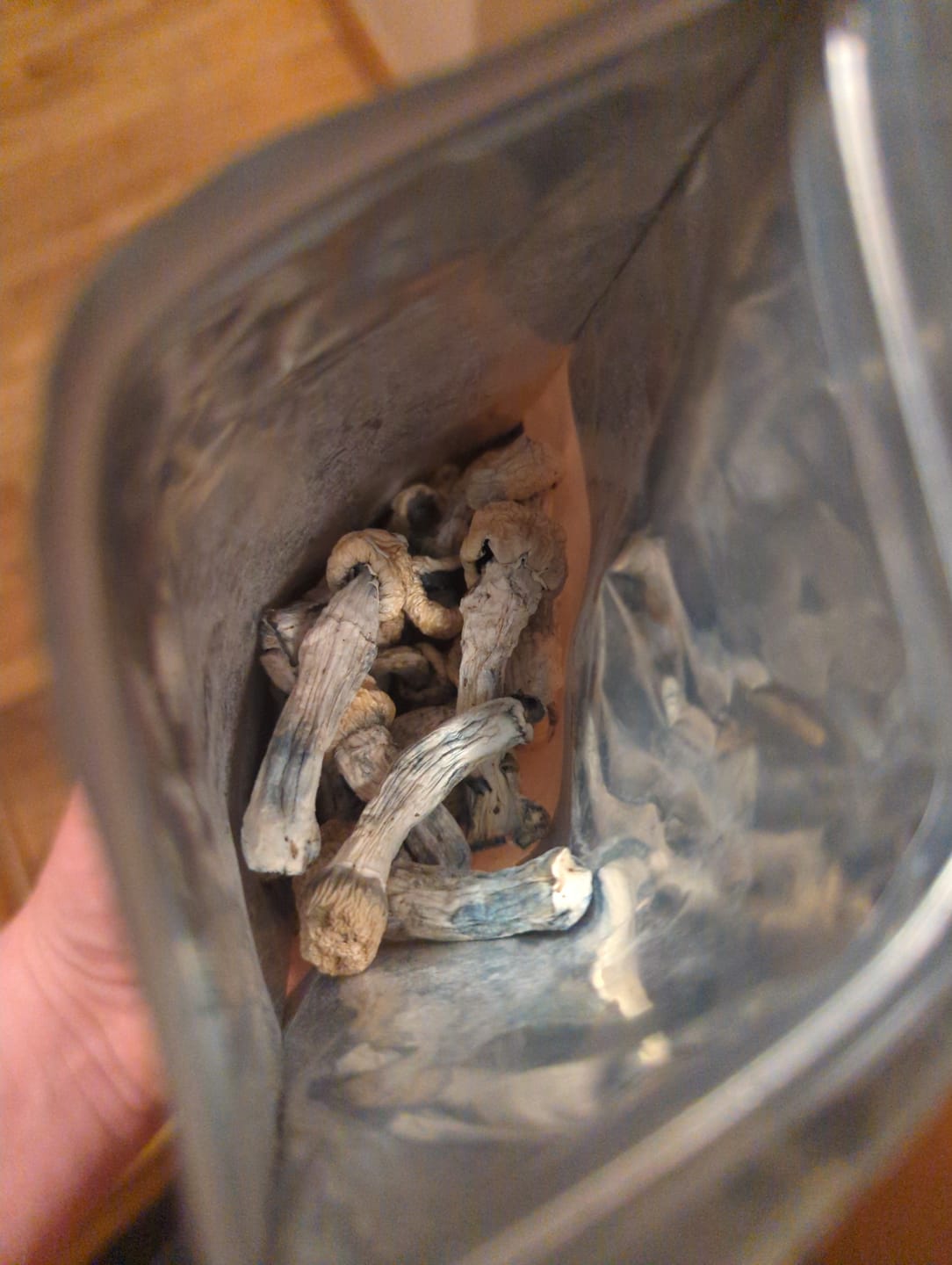 Customer photo review of Non Detect Mushrooms