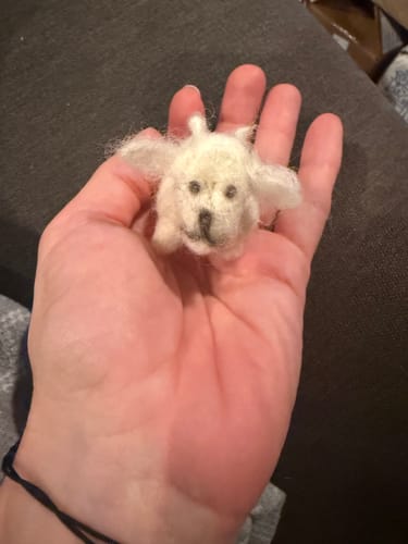 Customer photo review of Core Wool Batting - You Choose Amount