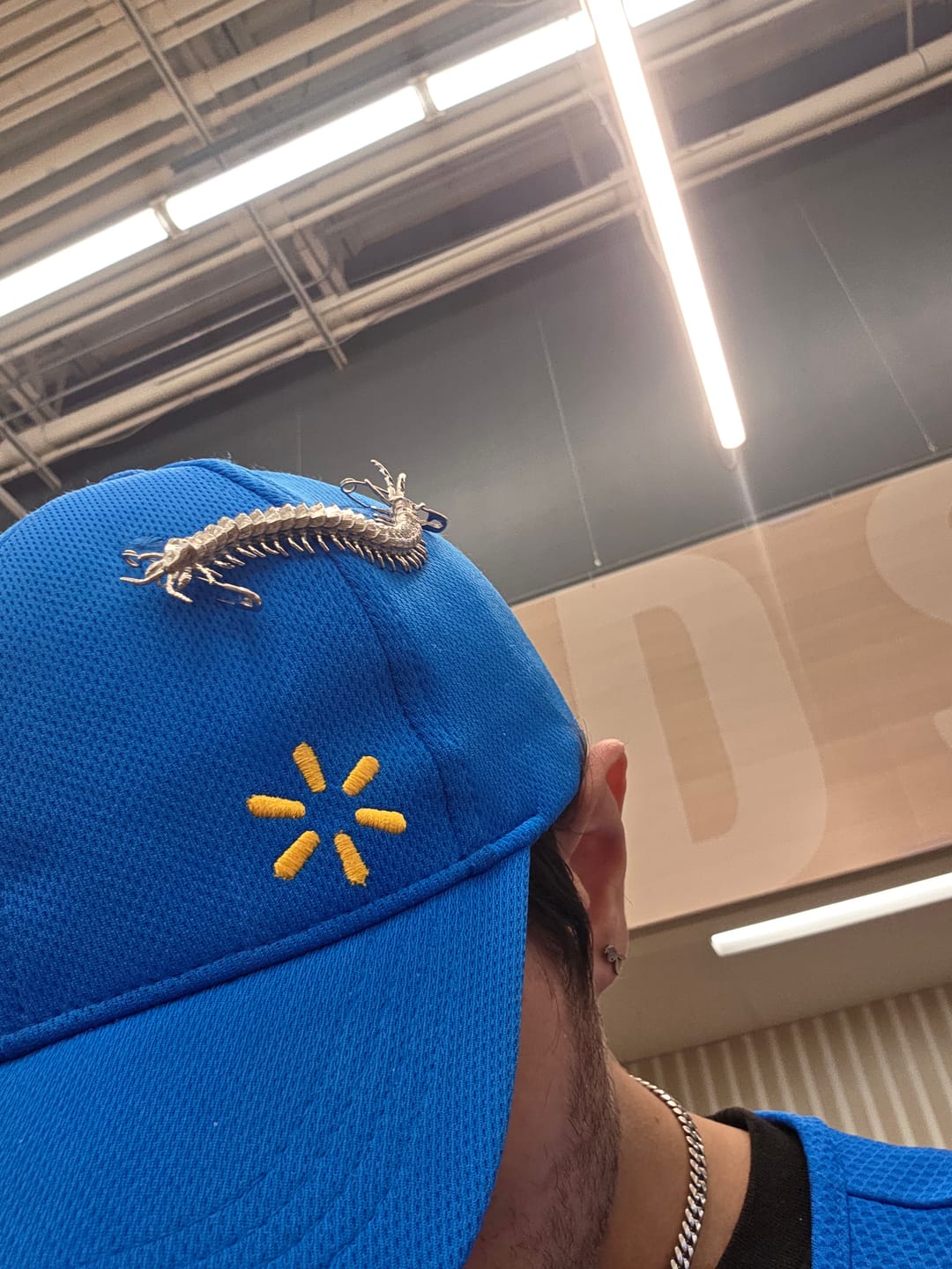 Customer photo review of CENTIPEDE SAFETY PIN
