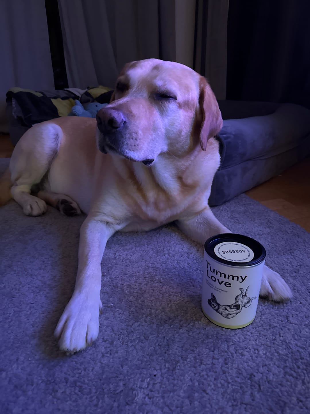 Customer photo review of Tummy Love: Für Magen und Darm