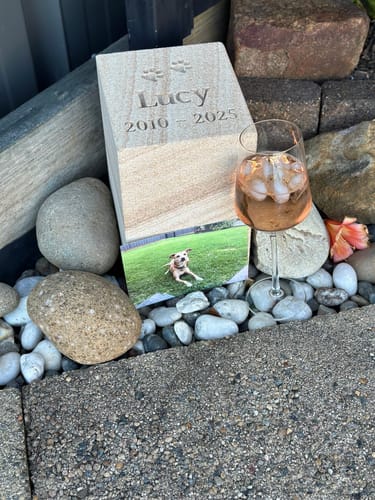 Customer photo review of Low Alcohol Rosé - 6pk