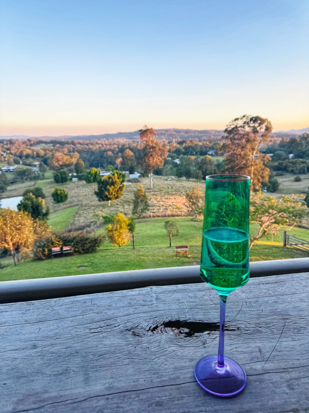 Customer photo review of Prosecco - 6pk
