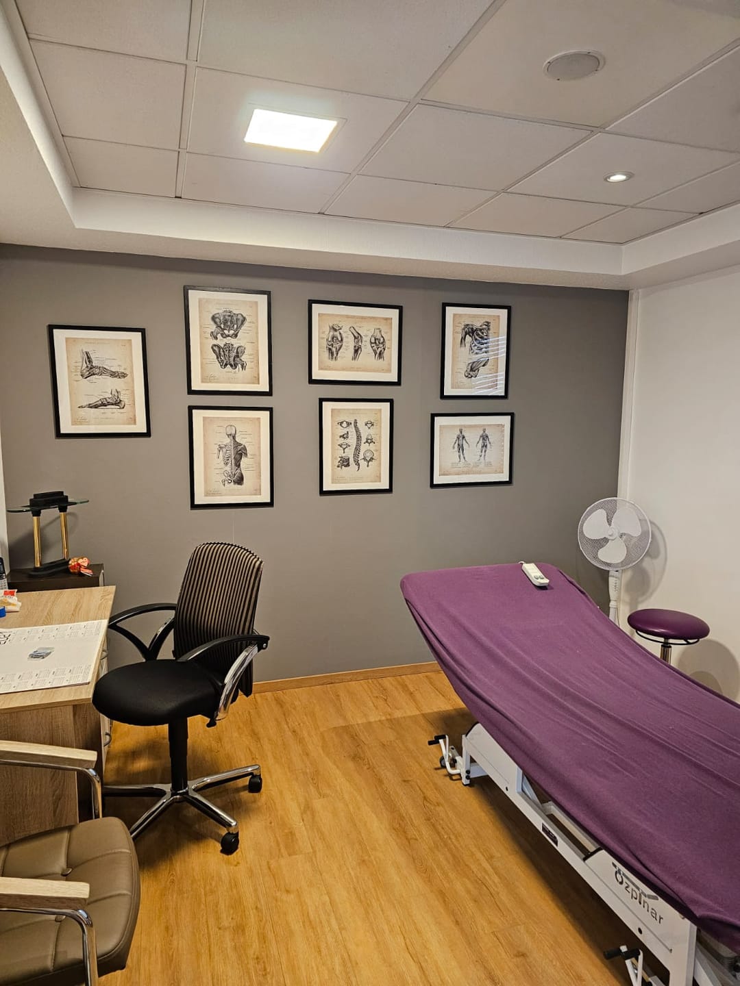 Customer photo review of Physio Praxis Starter Set