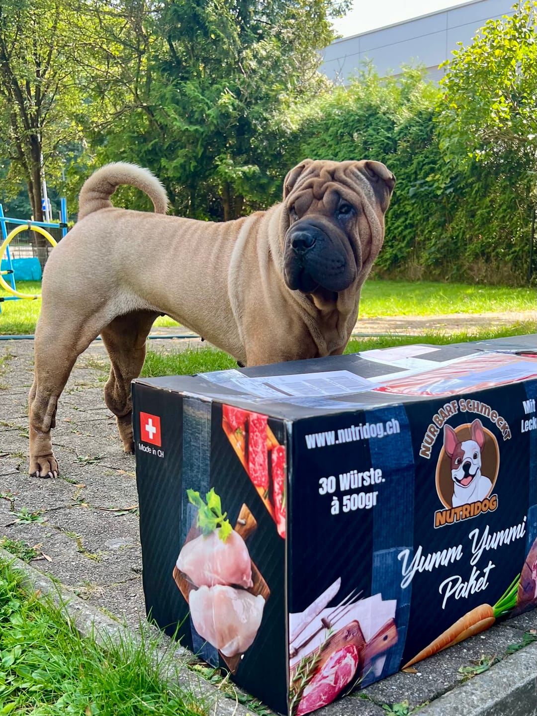 Customer photo review of Lamm gemischt 500g ab pro Wurst nur 9.70.-  "Tiefgekühlt"
