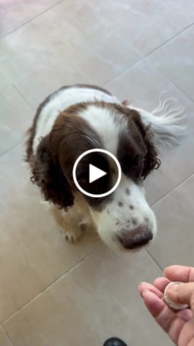 Video de Adriana A.