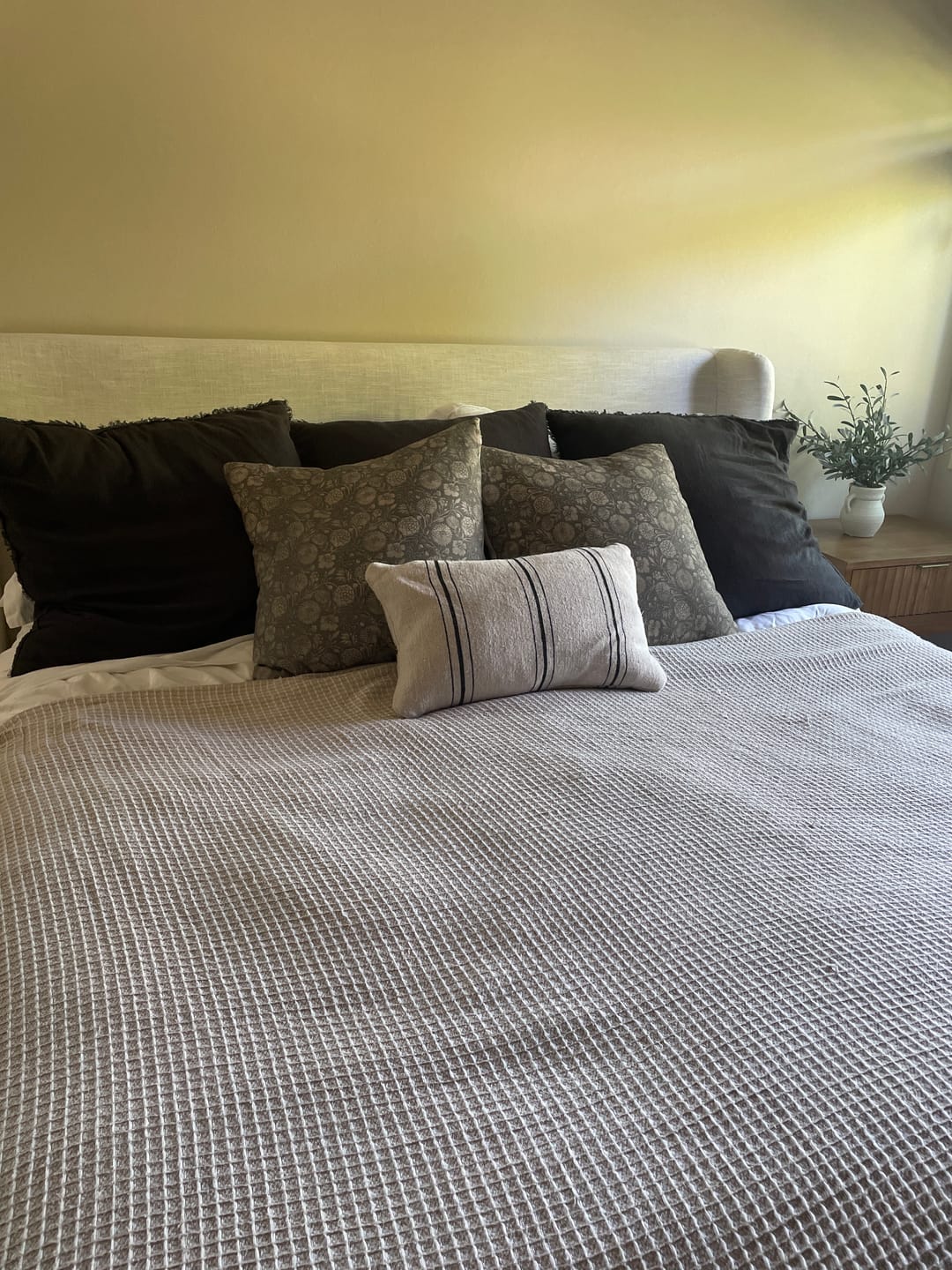 Customer photo review of Gracie - 18" | 22"