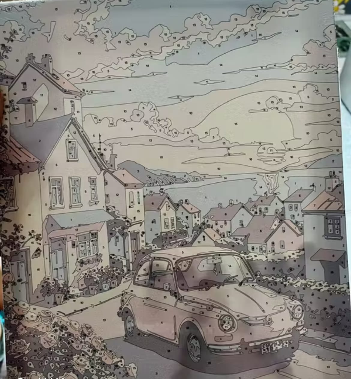 Customer photo review of Pause & Paint - Paint by Numbers Kit (Large)