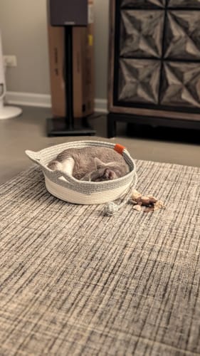 Customer photo review of Instinct Basket | Handwoven & Chemical-Free Cat Territory