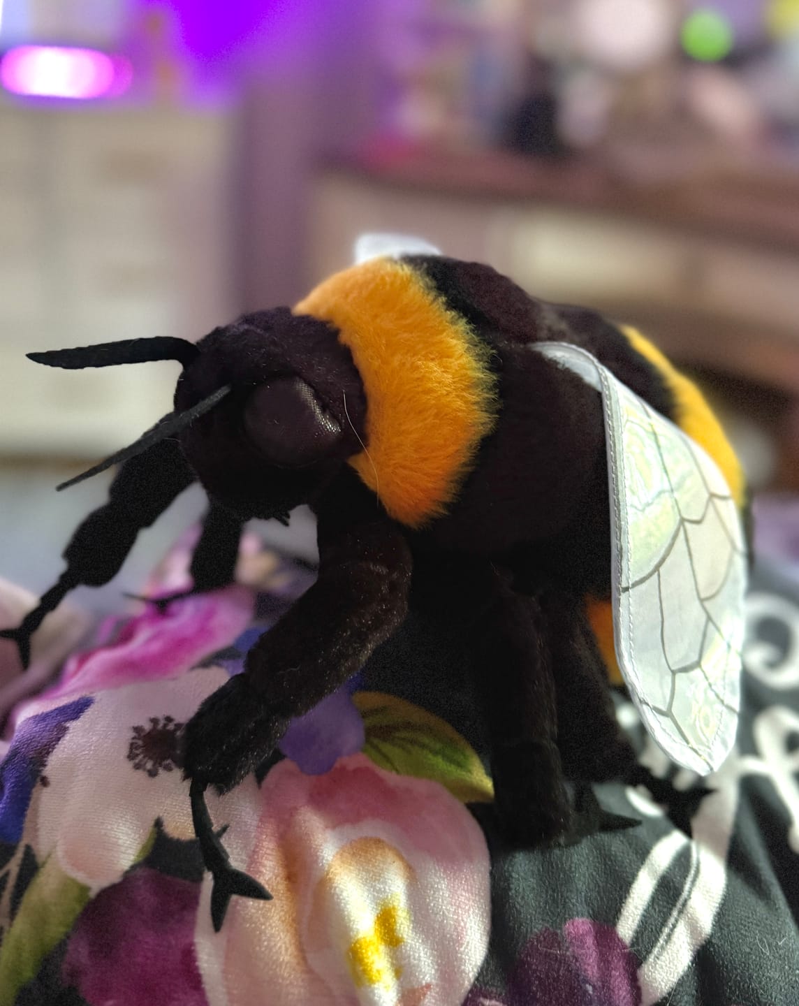 Customer photo review of Realistic Bumblebee Plush Toy – Lifelike, Soft, and Perfect for Insect Enthusiasts