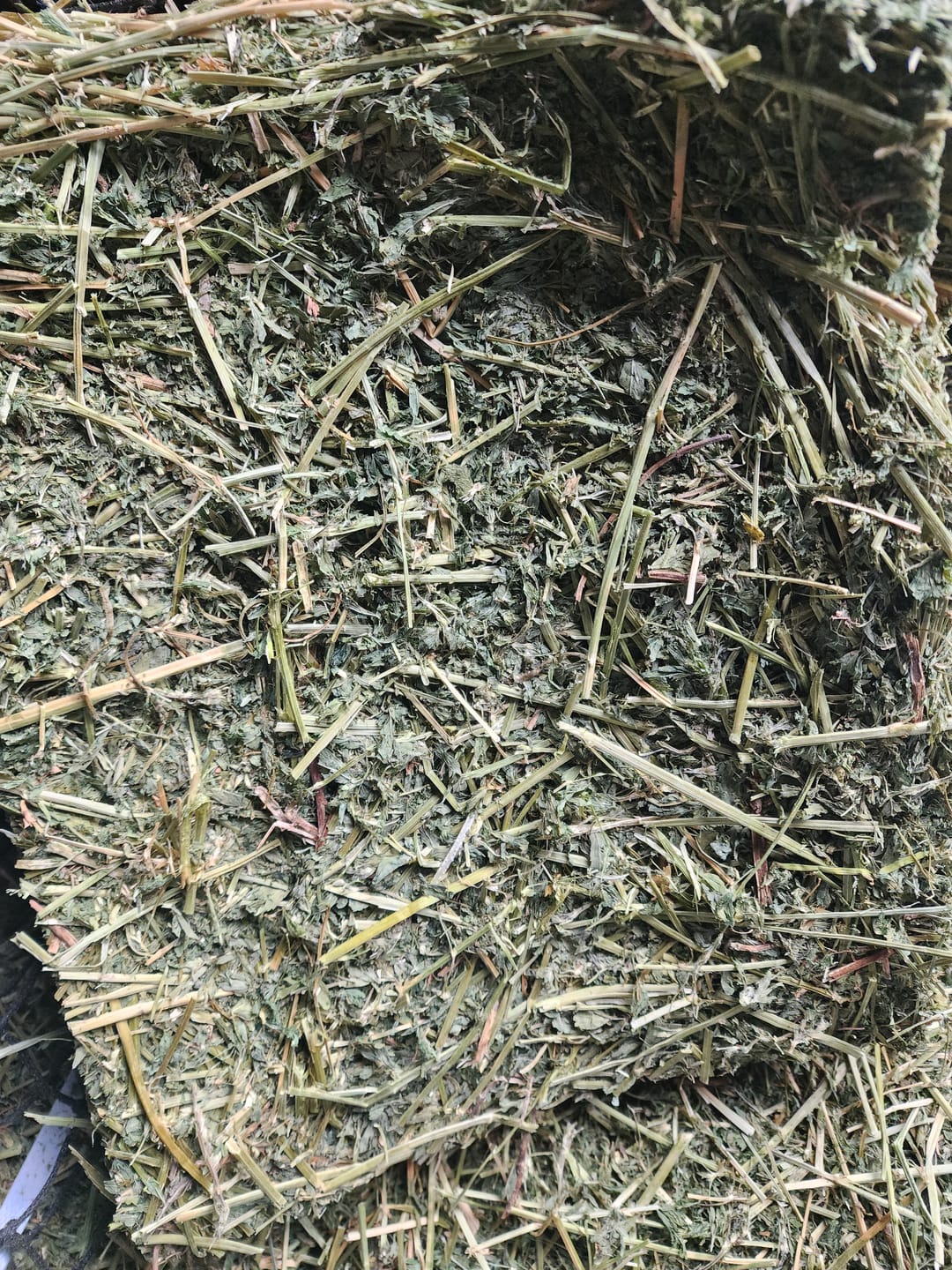 Customer photo review of Western (Utah) Steamed Alfalfa - 18 Bale Bundle! Includes delivery and ground level stacking with our forklift too!