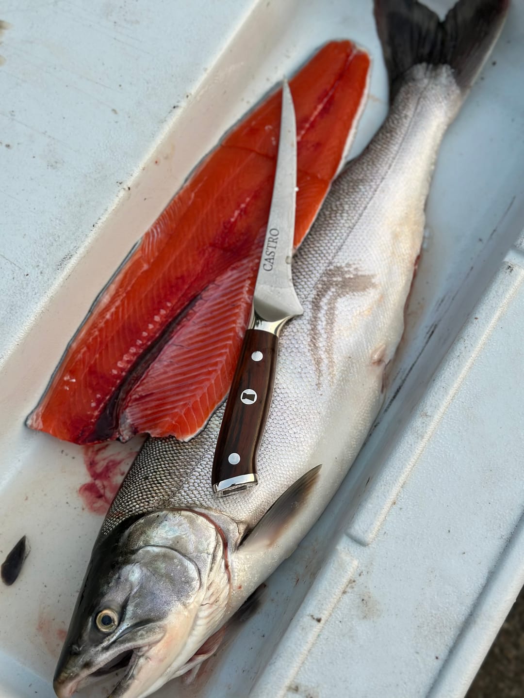Customer photo review of Peskådot Damascus Fillet Knife