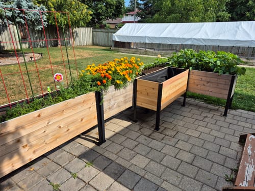 Customer photo review of 18" x 48" Raised Garden Bed - 30" TALL