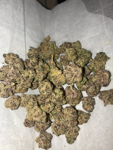 Customer photo review of Dank Dynasty Exotic THCA Flower