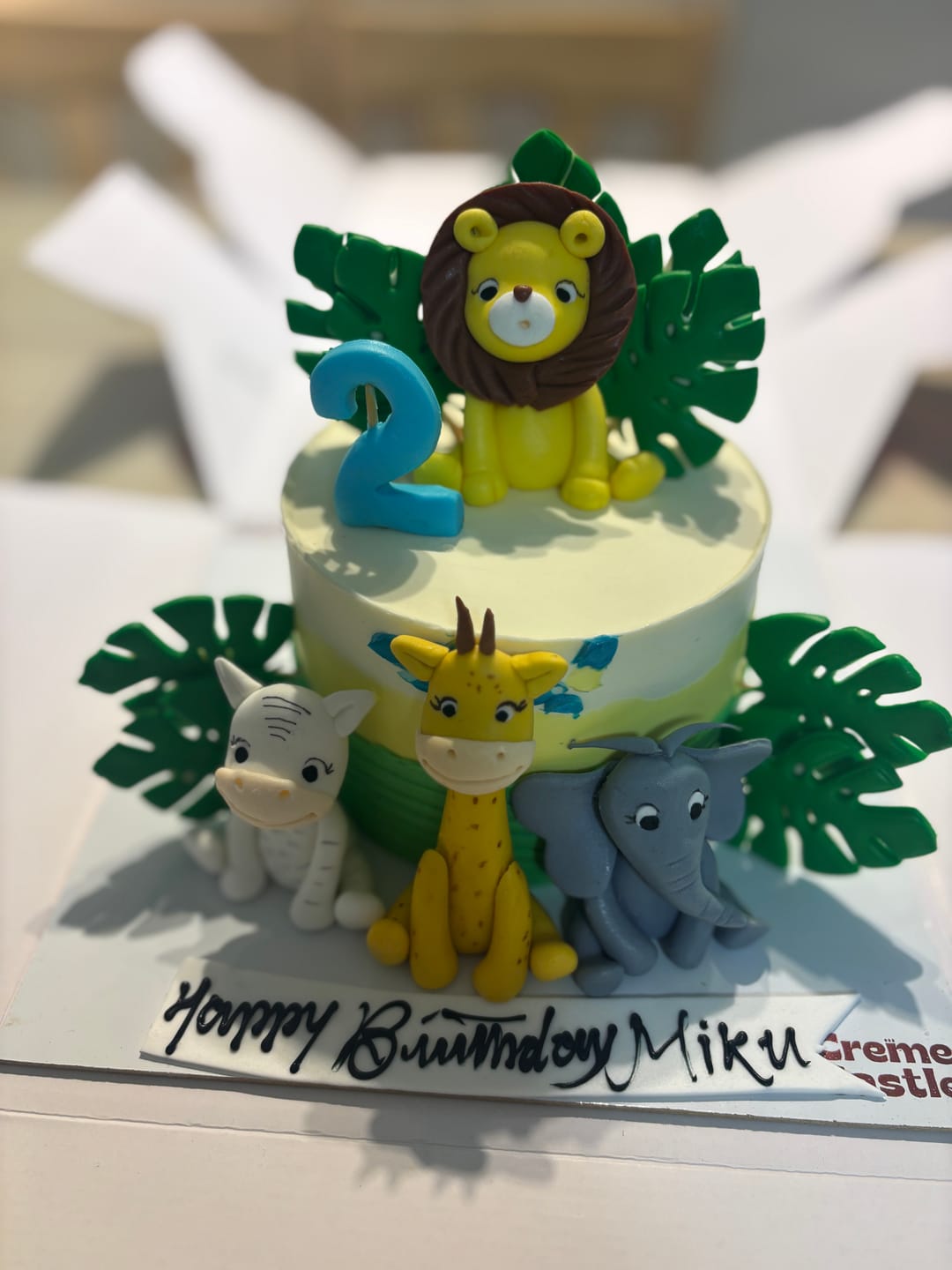 Customer photo review of Animal Party Birthday Cake